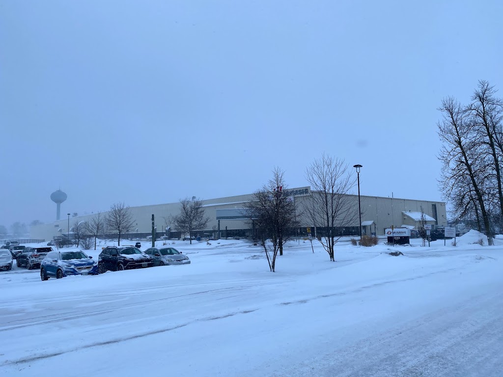 Musashi Auto Parts Inc | 333 Domville St, Arthur, ON N0G 1A0, Canada | Phone: (519) 848-2800