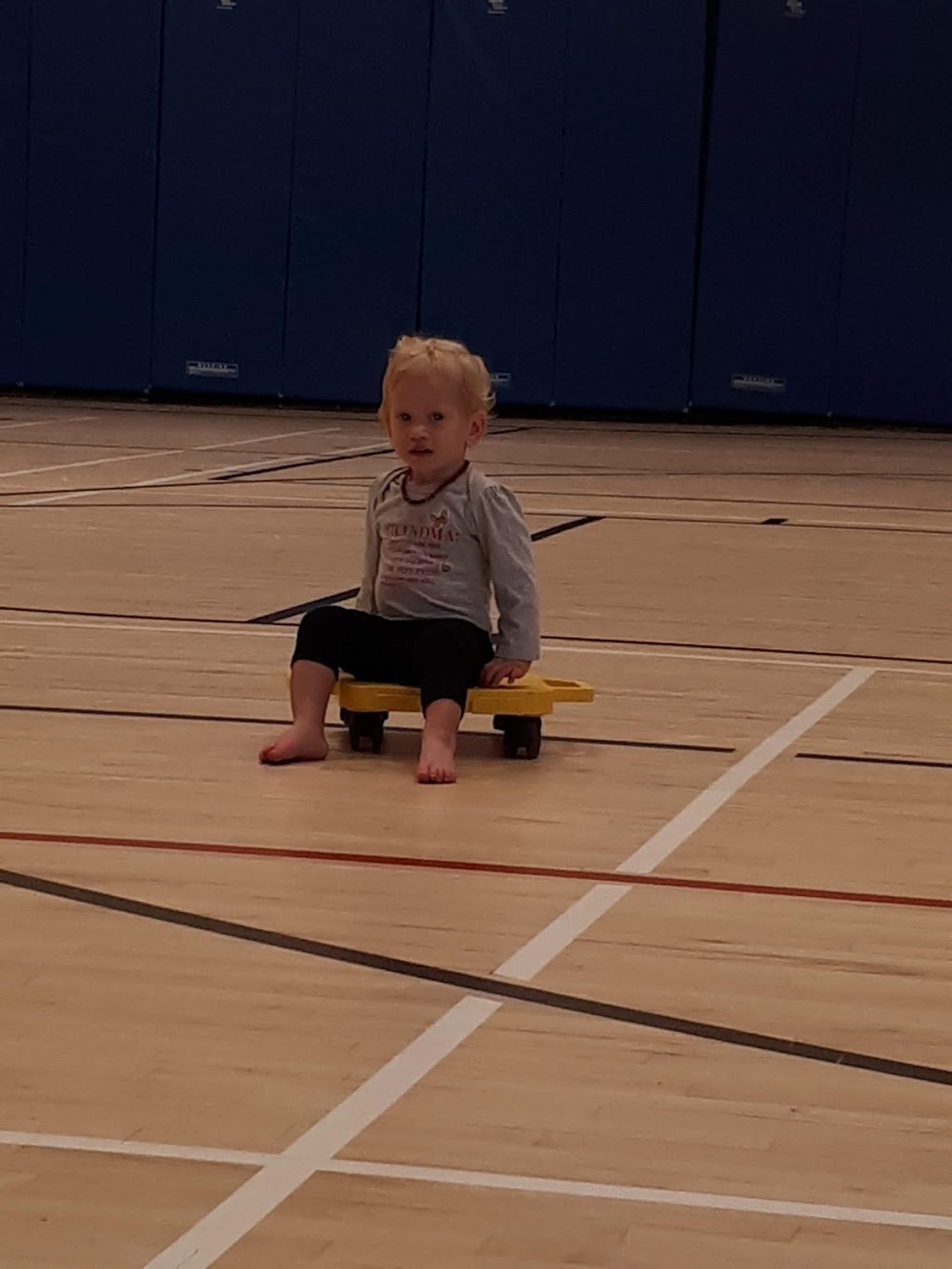 Jerry McCaw Family Centre YMCA | 1015 Finch Dr, Sarnia, ON N7S 6G5, Canada | Phone: (519) 336-9622