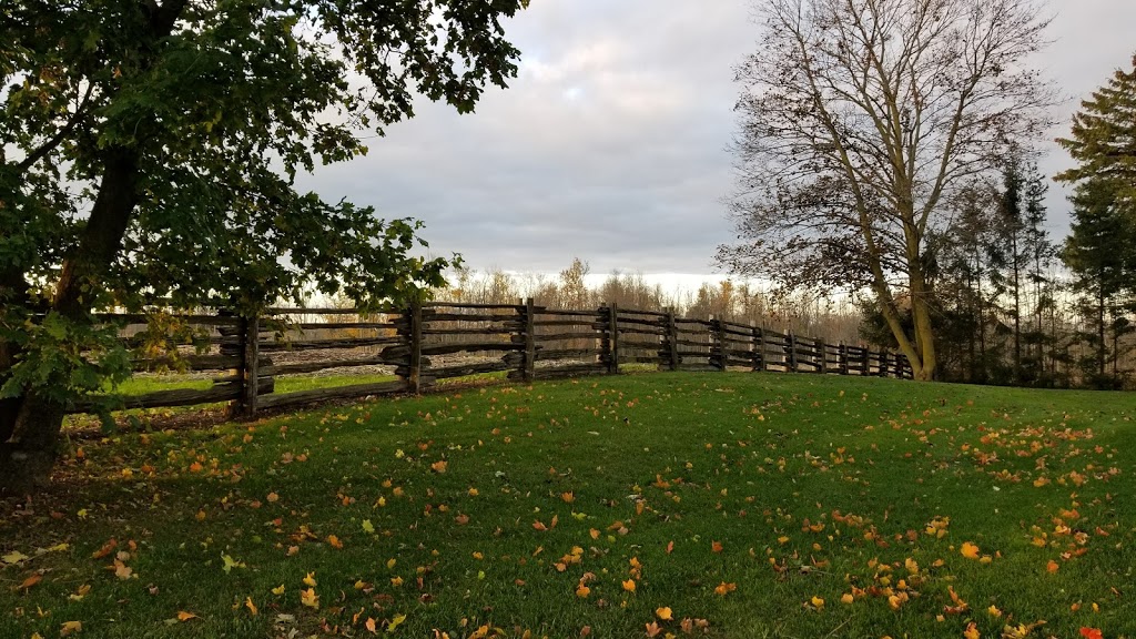 Jessica Vanlauwe | 3362 Old Beverly Rd, Cambridge, ON N1R 5S7, Canada | Phone: (519) 498-8756