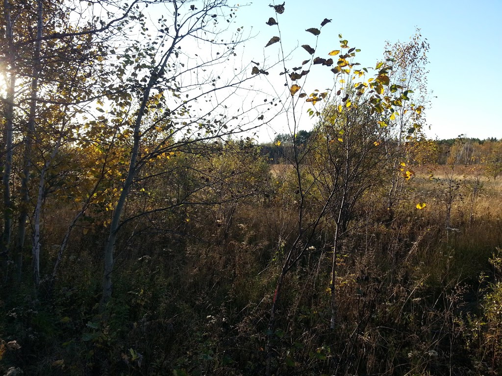 Jean Tellier Trail | Sudbury, ON P0M 1M0, Canada | Phone: (705) 674-4455 ext. 4603