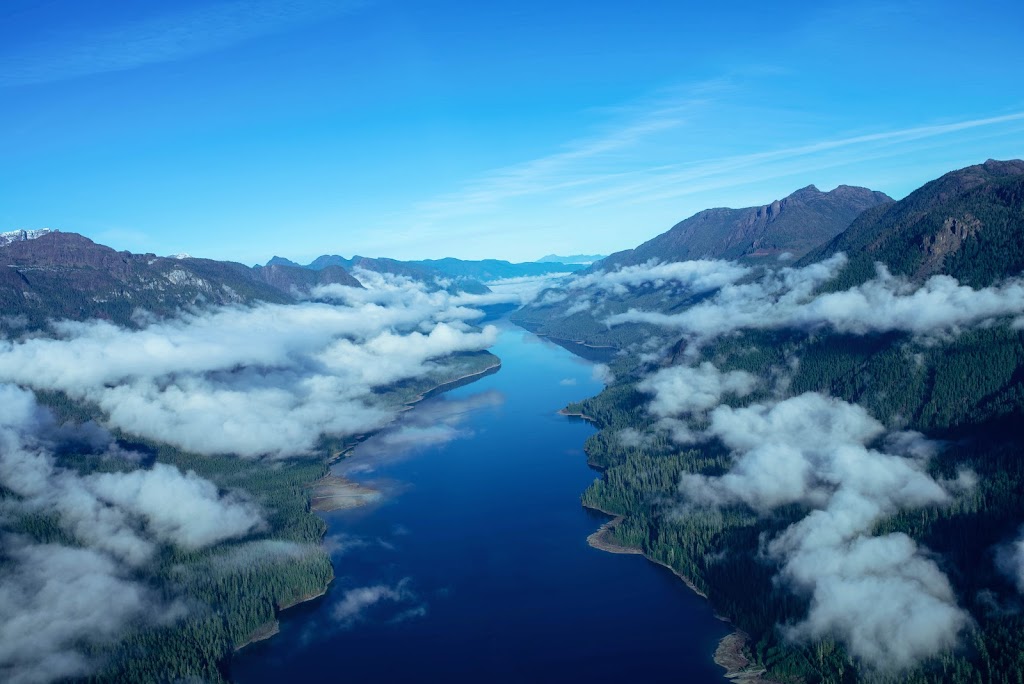 Island Life Expeditions | Marina, 9082 Clarkson Ave, Black Creek, BC V9J 1B3, Canada | Phone: (250) 895-9400