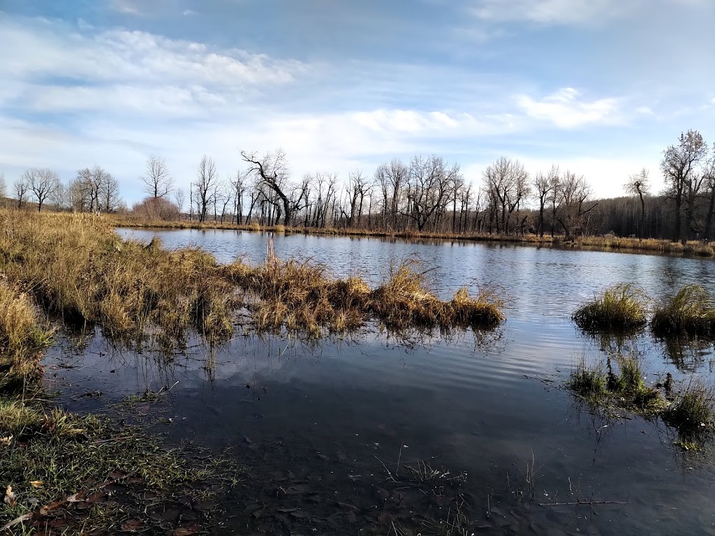 Friends Of Fish Creek Provincial Park Society | 15975 Bow Bottom Trail SE, Calgary, AB T2J 6T5, Canada | Phone: (403) 238-3841