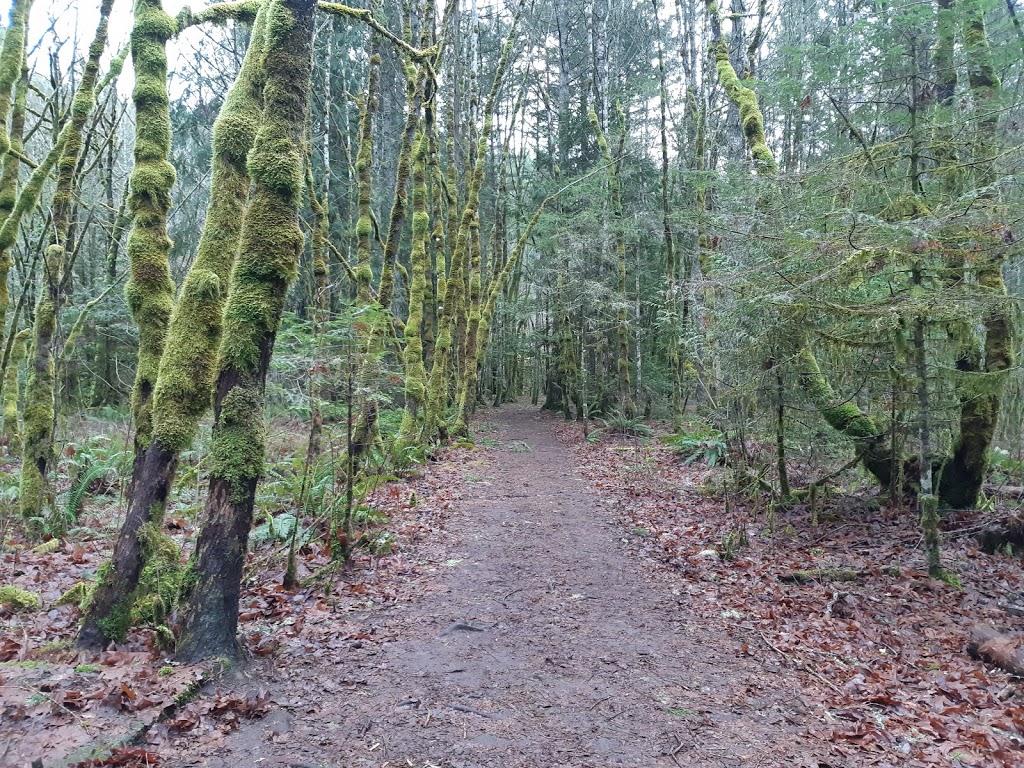 Tod Inlet trail Entrance. | 6537 Wallace Dr, Brentwood Bay, BC V8M 1J8, Canada