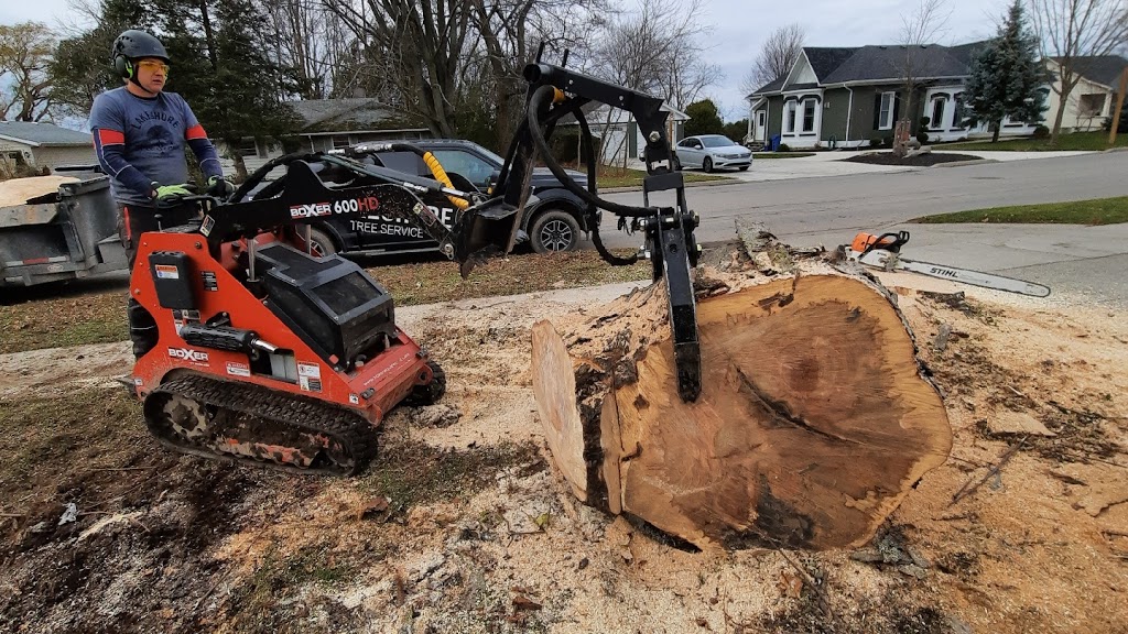 Lakeshore Tree Service | 281 Summerside Pl, Port Elgin, ON N0H 2C2, Canada | Phone: (519) 368-7893