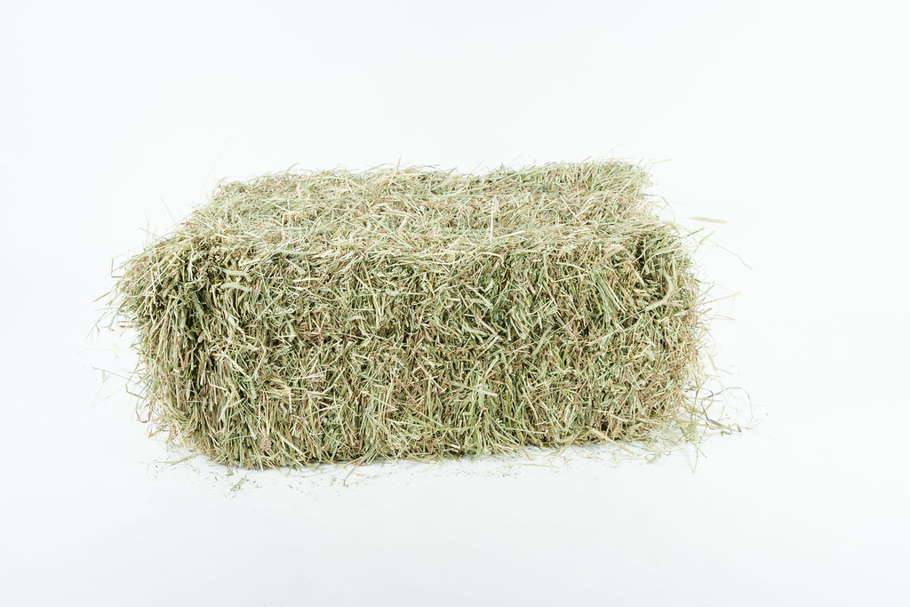 Hay Country | 3734 Line 26, Stratford, ON N5A 6S3, Canada | Phone: (519) 443-0036