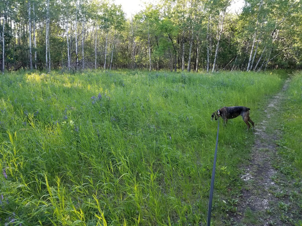 Marj Edey Park | Ridgewood South, Winnipeg, MB R3R, Canada