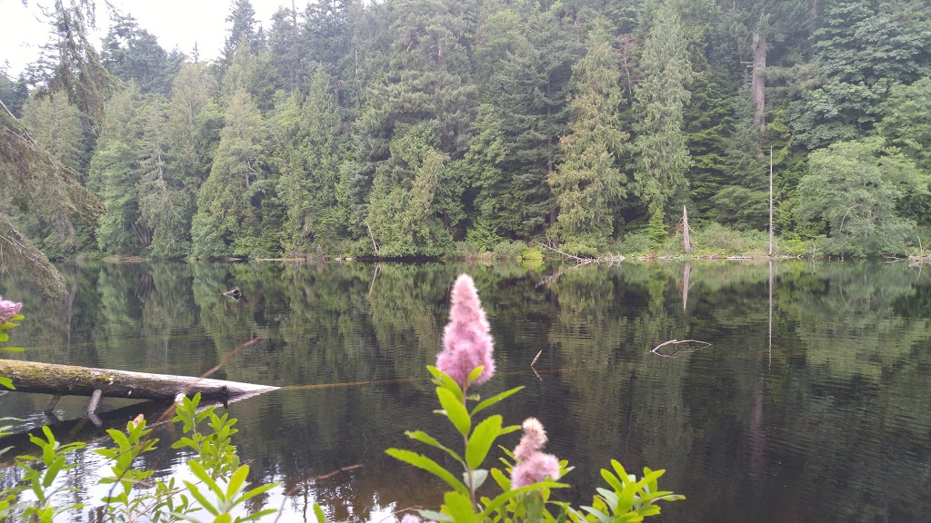 Rock Trail | 224 Cleator Rd, Bellingham, WA 98229, USA
