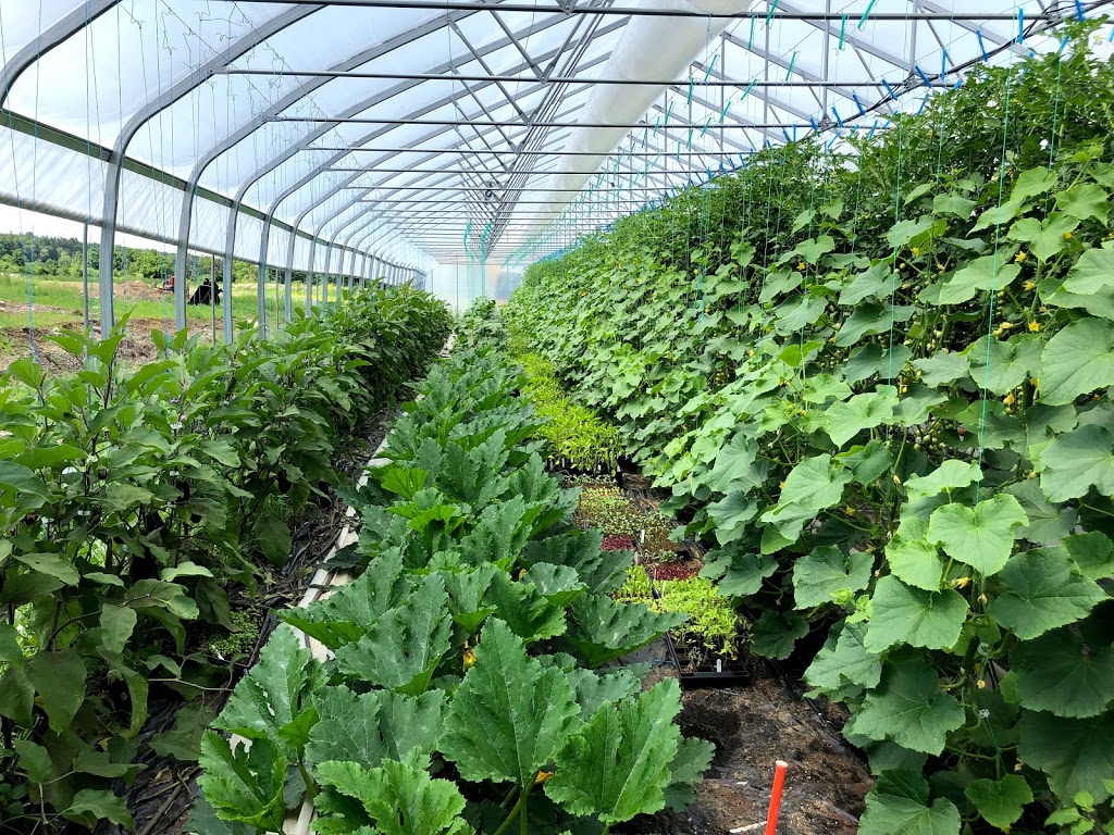Les Jardins Dublin | 100 Route Dublin, Inverness, QC G0S 1K0, Canada | Phone: (418) 717-4183