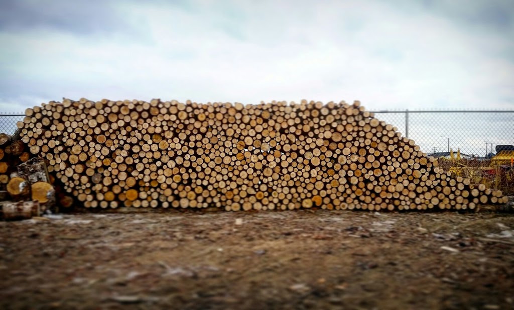 Woodman Firewood | 66 Diamond Ave, Spruce Grove, AB T7X 3A3, Canada | Phone: (780) 454-5291