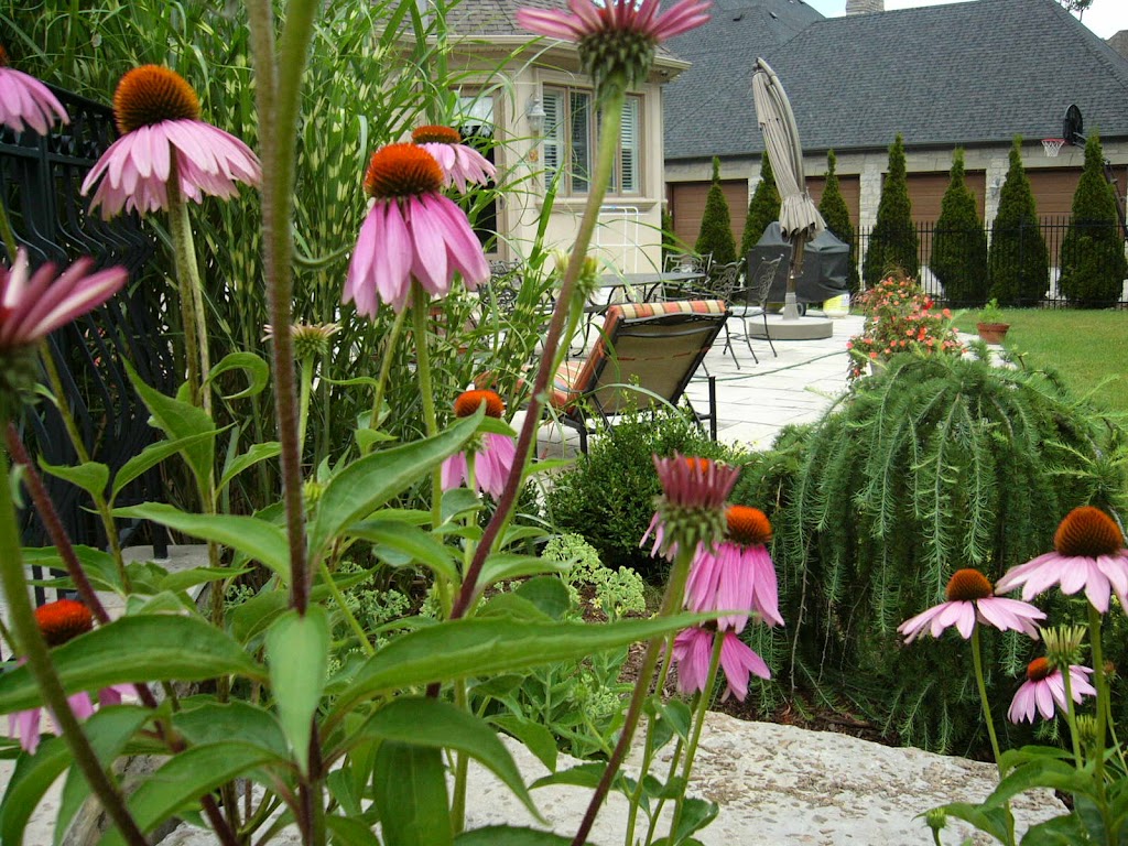 April Rose Design | 644 Napa Valley Ave, Woodbridge, ON L4H 2J1, Canada | Phone: (416) 557-1518