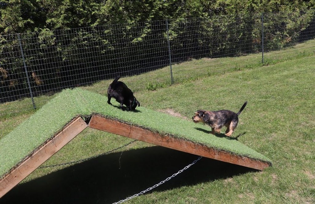 Country Canines Play Park - London | Wonderland Road South and, ON-402, London, ON N6P 1G5, Canada | Phone: (613) 878-2309
