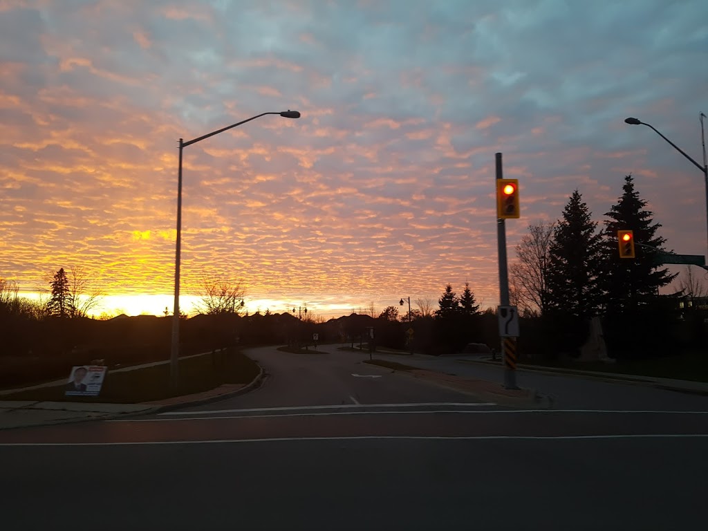 Mitchell Pond Park | 12820 Estate Garden Dr, Richmond Hill, ON L4E 4H1, Canada