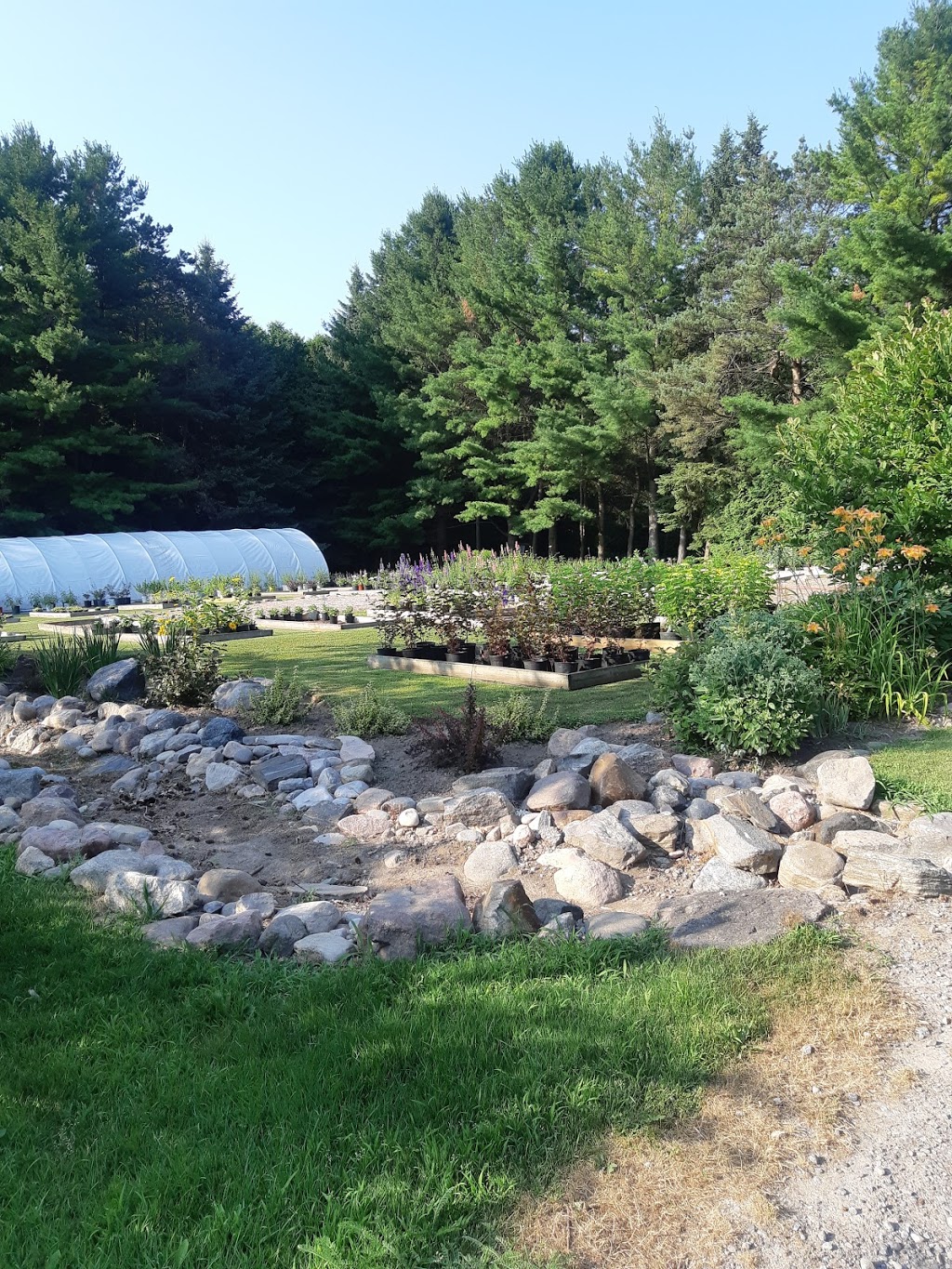 Stricklands Perennial Farm | 5467 Middle Rd, Bowmanville, ON L1C 3K2, Canada | Phone: (905) 213-2210