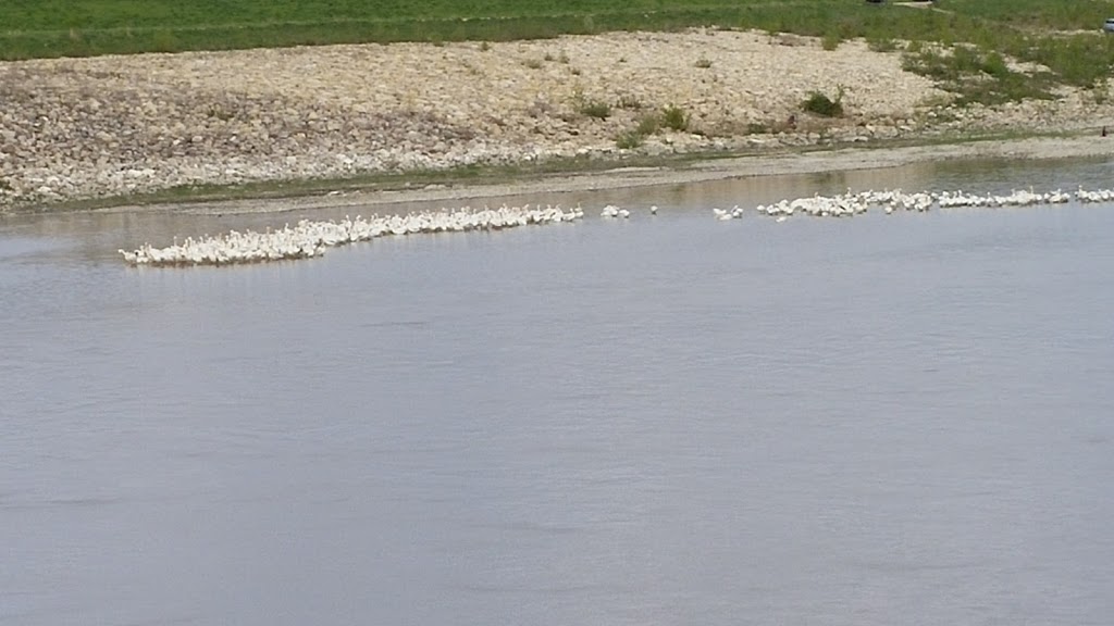 Pastoral | 12 Sea Gull Dr, Lockport, MB R1A 2R3, Canada