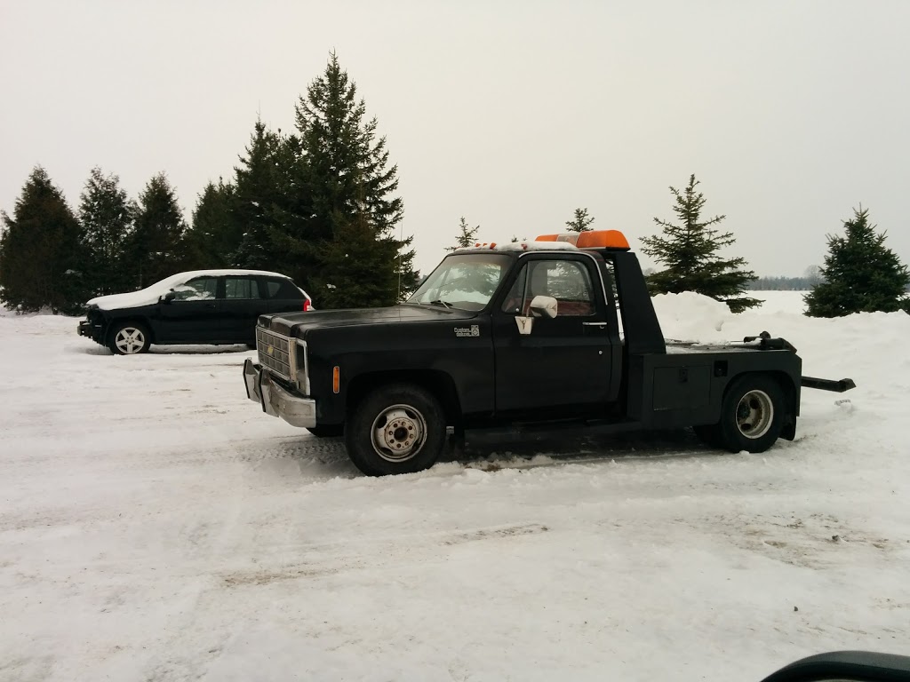 dsj Autocare | 16619 Wyton Dr, Thorndale, ON N0M 2P0, Canada | Phone: (519) 461-9593