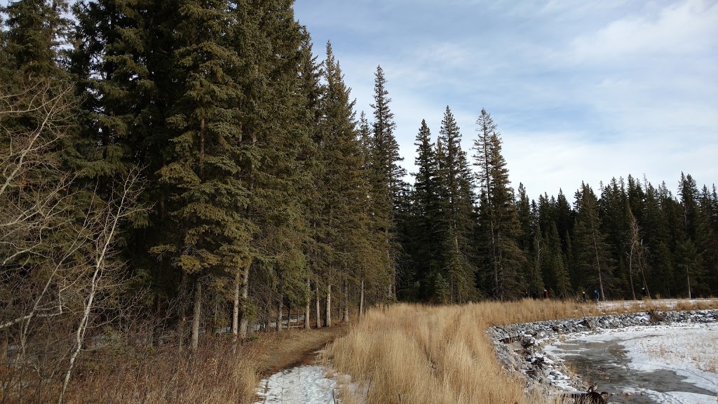 Bebo Grove | 545 Woodridge Terrace SW, Calgary, AB T2W 5G3, Canada