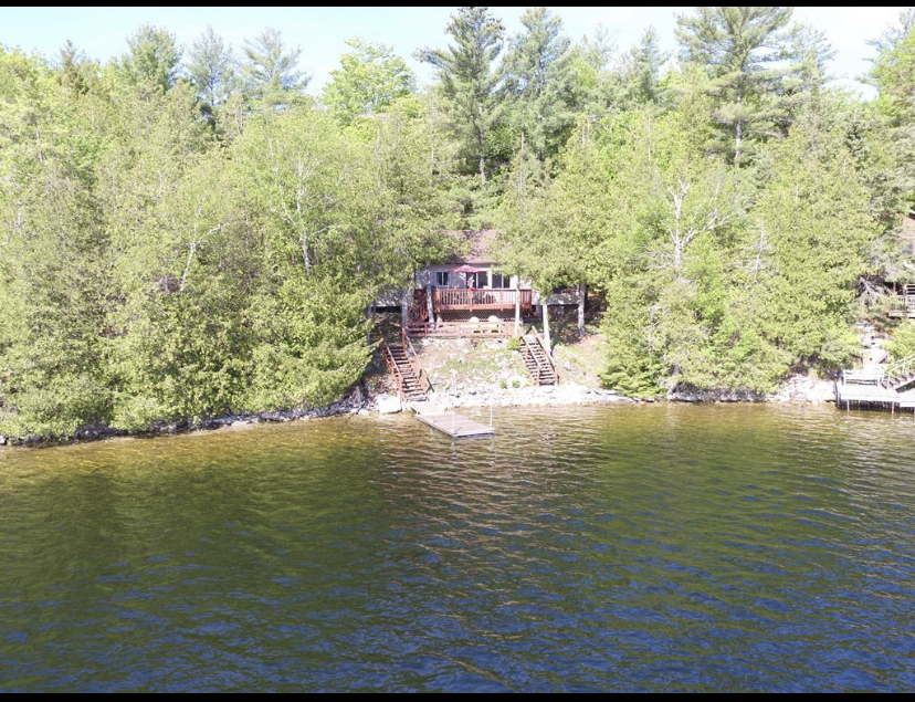 Caninvest1 | 70 Wilkinson Dr, Coboconk, ON K0M 1K0, Canada | Phone: (647) 339-3819