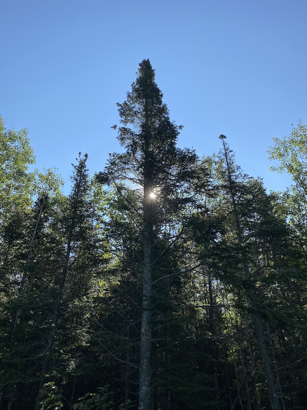 Ocean River RV Resort | 119 J McKenzie Rd, Tabusintac, NB E9H 2B8, Canada | Phone: (855) 550-1558