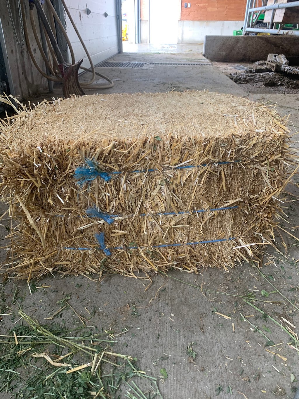 TNT Hay Sales | 40303 No 4 Rd, Abbotsford, BC V3G 2S2, Canada | Phone: (888) 802-3269