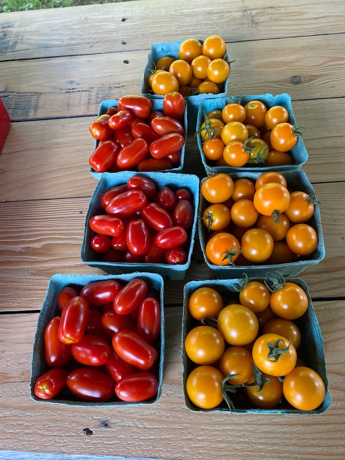 Frelighsburg Farm Stand | 1 Chem. Ballerina, Frelighsburg, QC J0J 1C0, Canada | Phone: (450) 298-5078