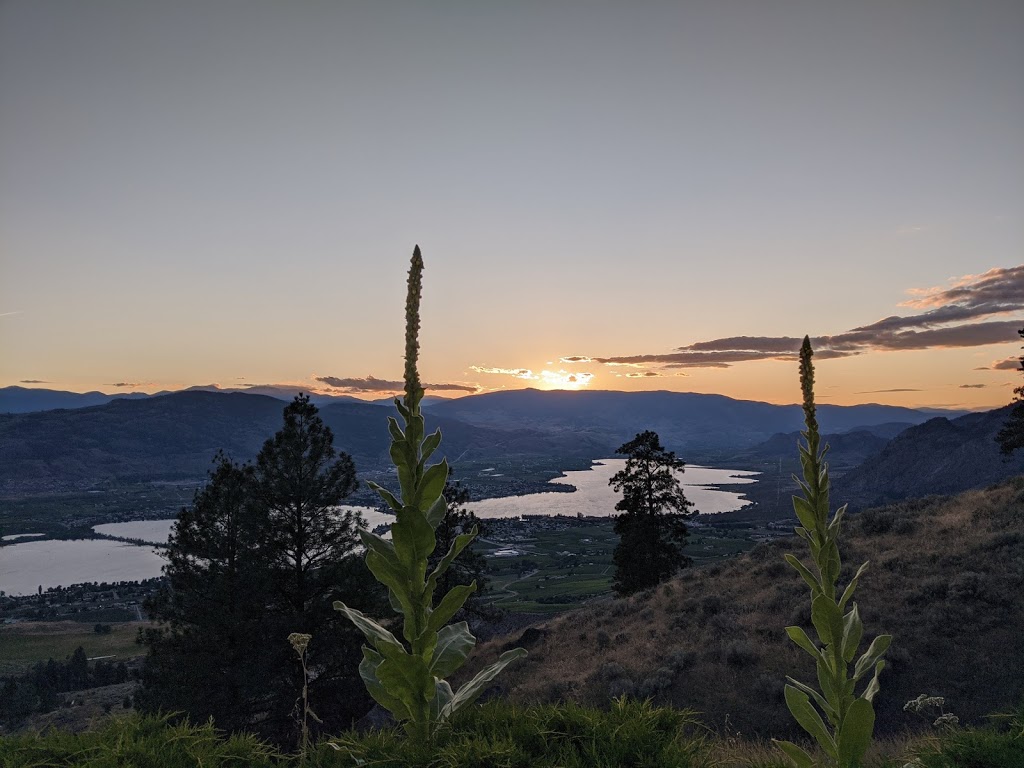 The Newton Observatory Bed & Breakfast | 1270 BC-3, Osoyoos, BC V0H 1V6, Canada | Phone: (250) 495-6745