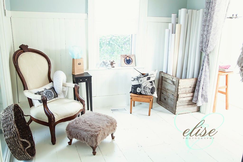 Elises Photography and Delhi Photo & Frame | 64 Dalton Rd, Delhi, ON N4B 2W4, Canada | Phone: (226) 567-5055