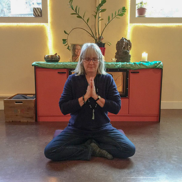 VI Yoga School | 360 Duncan St #103, Duncan, BC V9L 3W4, Canada | Phone: (250) 597-1919