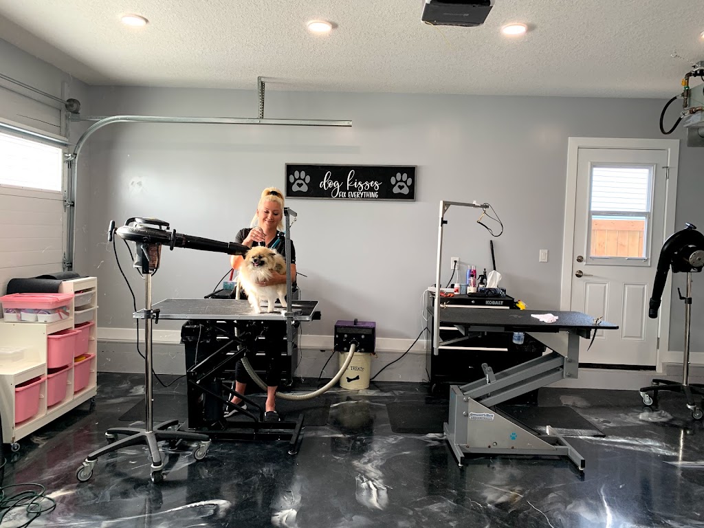 Fluff It Dog Grooming | 101 Darlington Ct, Sherwood Park, AB T8H 1N9, Canada | Phone: (587) 269-3583