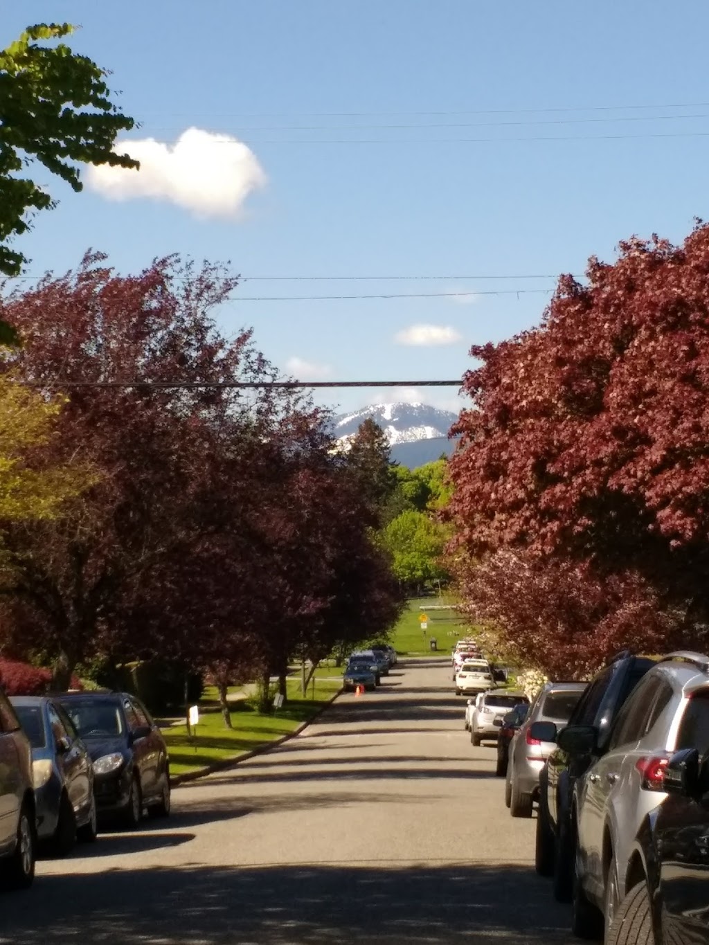 Chaldecott Park | 4175 Wallace St, Vancouver, BC V6S 2J3, Canada | Phone: (604) 873-7000