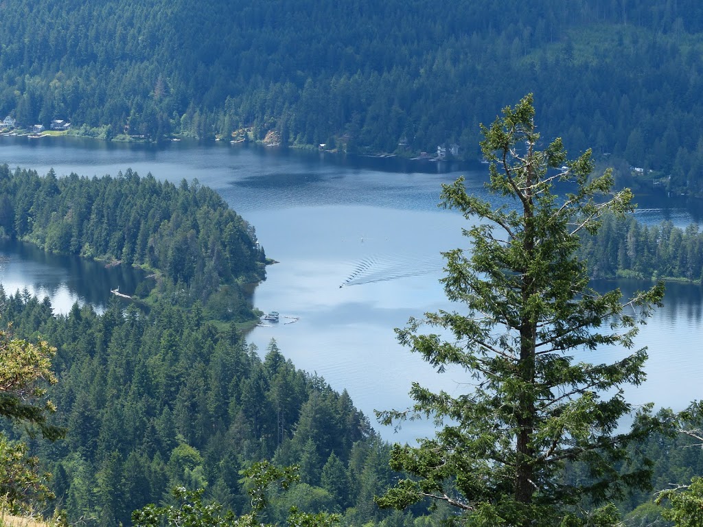 Old Baldy Mtn | 2329 Strathcona Heights Road, Shawnigan Lake, BC V0R 2W2, Canada