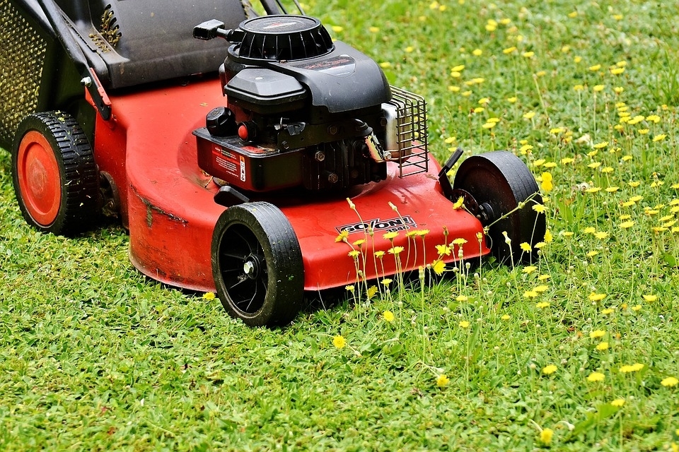 Grass Cutters | 6456 Dorchester Rd, Niagara Falls, ON L2G 5T5, Canada | Phone: (905) 325-5704