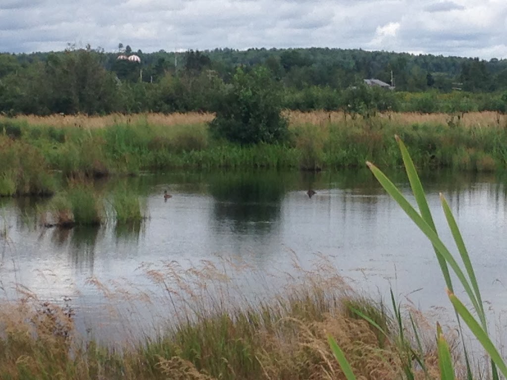 Brookfield Wetland & Nature Trail | Brookfield Wetlands Trail, Brookfield, NS B0N 1C0, Canada
