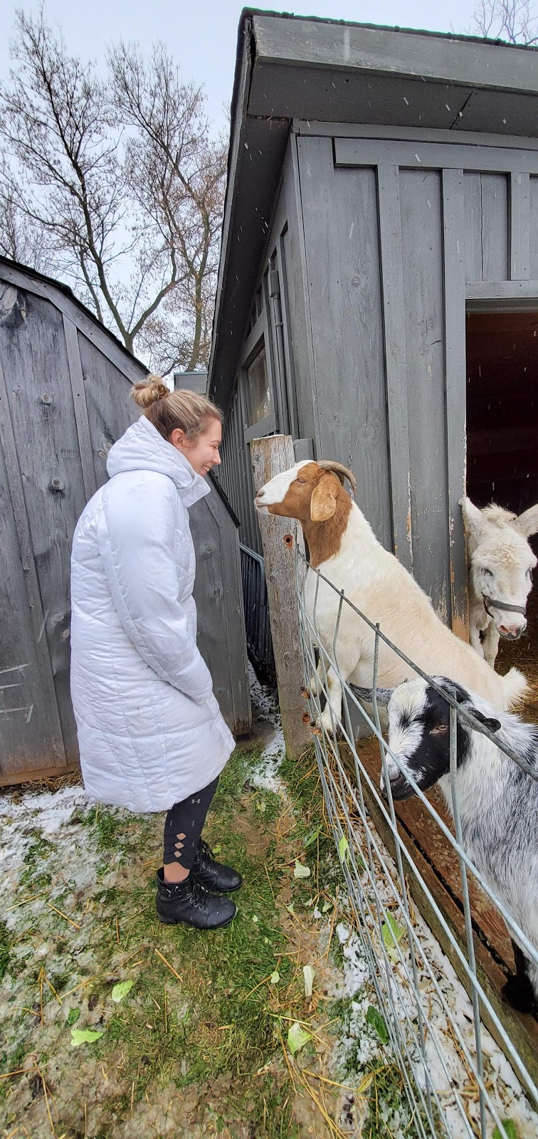 Cedar Row Farm Sanctuary | 157017 Zorra Line 15, Lakeside, ON N0M 2G0, Canada | Phone: (519) 274-9917