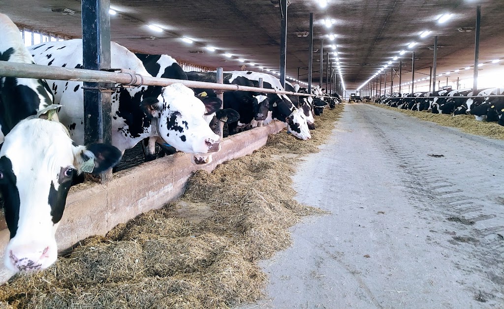 Ferme Stéronest | 700 Chem. Dion, Compton, QC J0B 1L0, Canada | Phone: (819) 345-8950