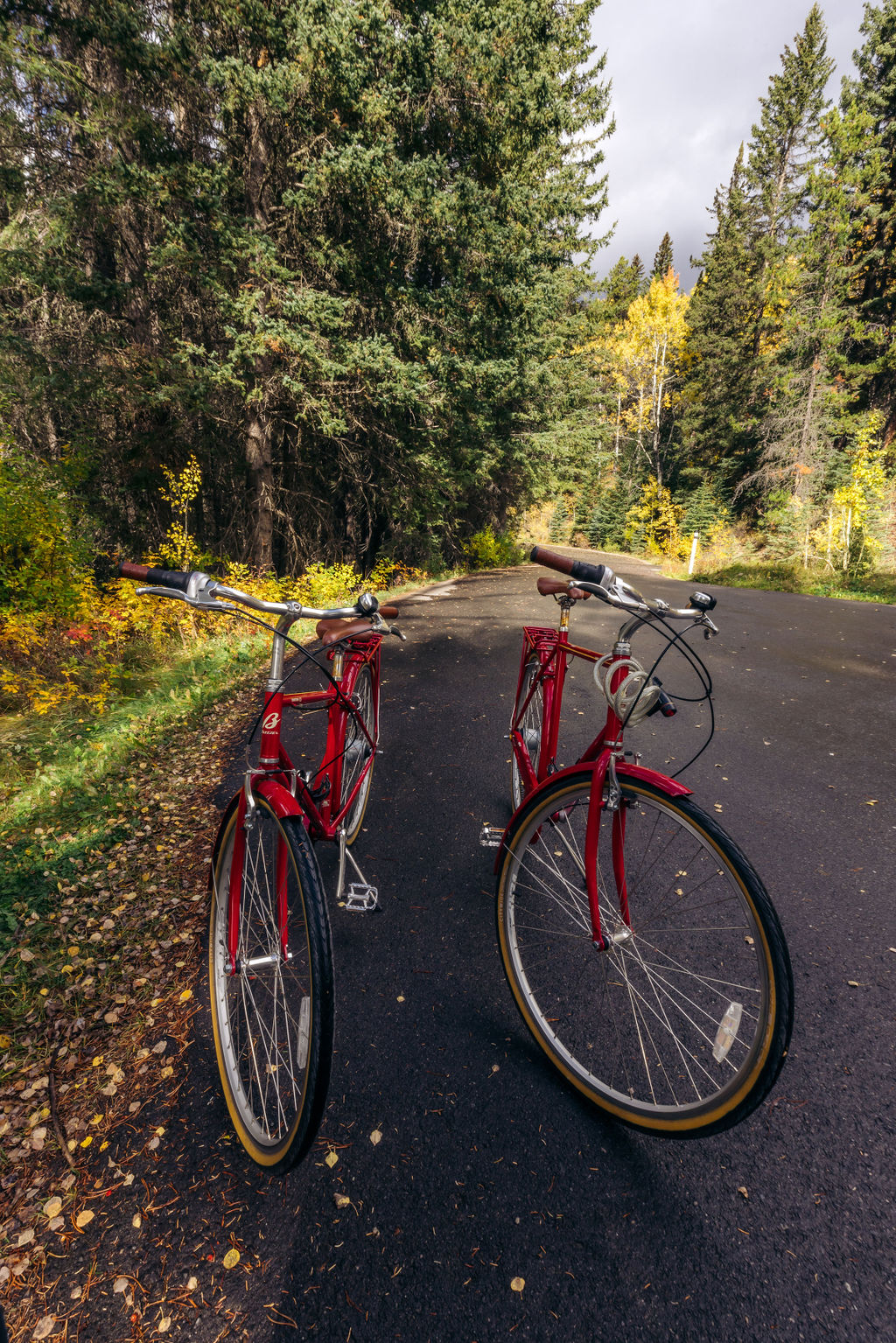 Bow Valley Parkway | Bow Valley Pkwy, Improvement District No. 9, AB T0L 1E0, Canada | Phone: (250) 726-6242