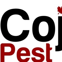 Cojen Pest Control Inc | 19162 22 Ave unit 105, Surrey, BC V3Z 3S6, Canada | Phone: (604) 427-1442