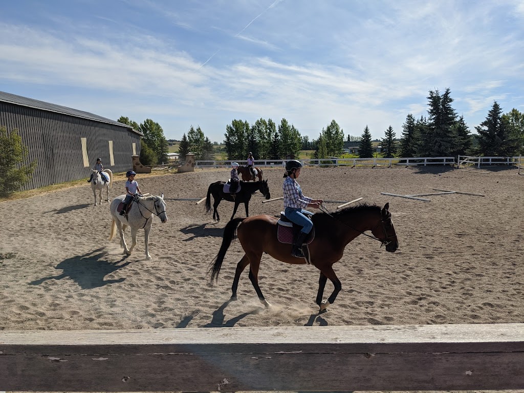 Paramount Equestrian Centre | Deerview Dr, De Winton, AB T0L 0X0, Canada | Phone: (403) 938-3671