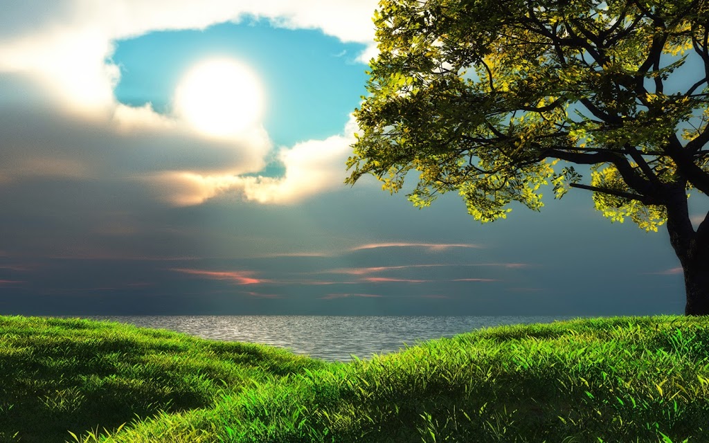 Allied Energy Savers | 25 Underwriters Rd #10, Scarborough, ON M1R 5P8, Canada | Phone: (647) 694-4176