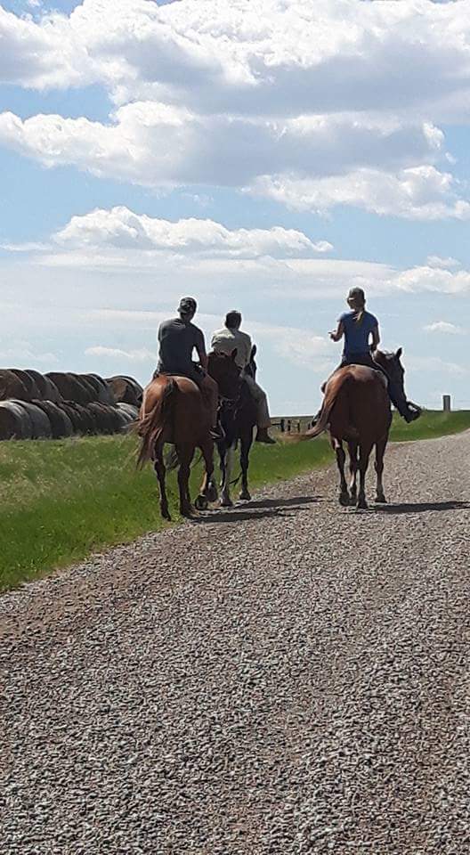 Inner Equine Journeys Growth & Development Center | Alberta T0J 0M0, Canada | Phone: (403) 988-0774