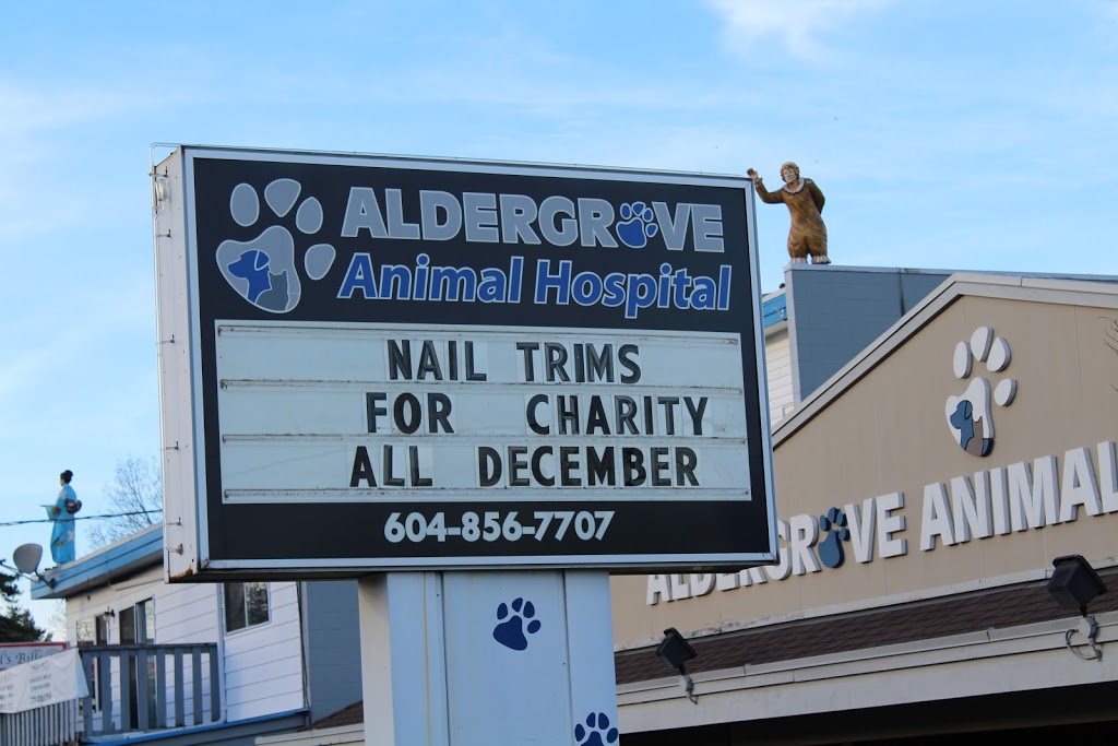 Aldergrove Animal Hospital Ltd | 26841 Fraser Hwy, Aldergrove, BC V4W 3E4, Canada | Phone: (604) 856-7707