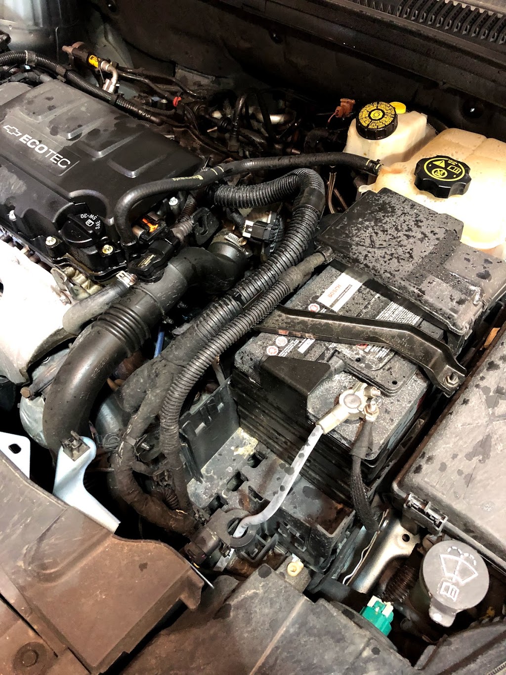 Mr. Lube | 10916 Hurontario St, Brampton, ON L7A 3R9, Canada | Phone: (905) 846-2177
