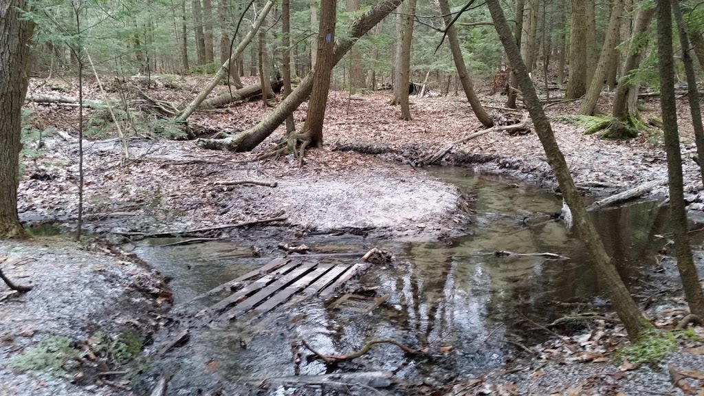 Thornton Bales Conservation Area | 19th Sideroad, King, ON L7B 1K5, Canada | Phone: (905) 895-1281