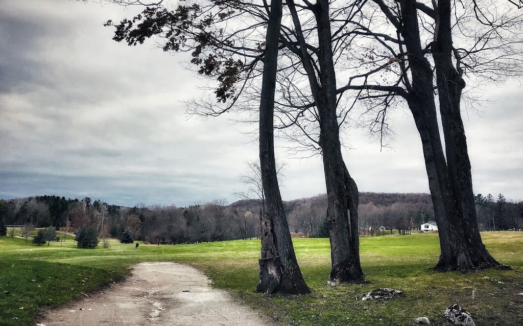 Old Chelsea Picnic Area | 15 Chemin Kingsmere, Chelsea, QC J9B 1G8, Canada | Phone: (613) 239-5678
