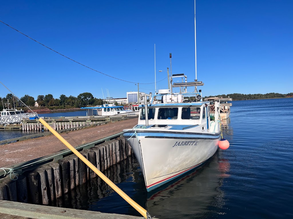 Tranquility Cove Adventures | 2 Kent St, Georgetown, PE C0A 1L0, Canada | Phone: (902) 969-7184