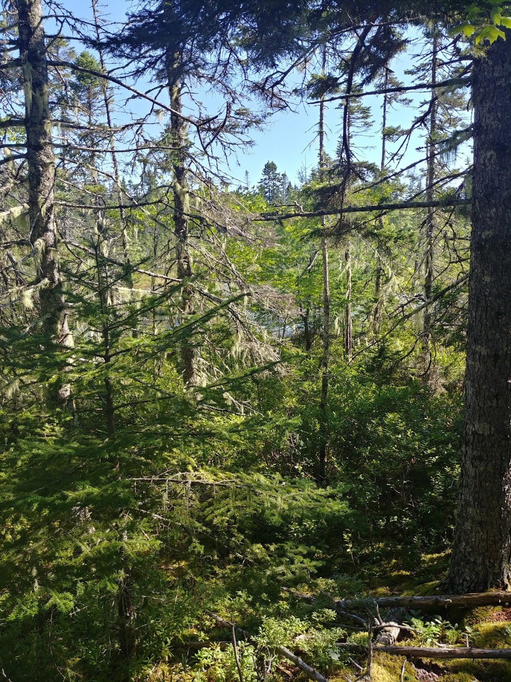 Indian Path Common Hiking Trail | Fish Peddler Rd, Riverport, NS B4V 2H1, Canada