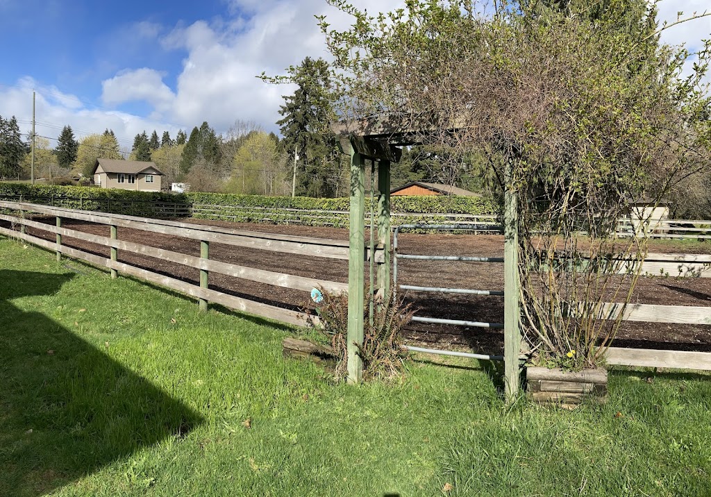 Casey and Finnigans | 5061 Grouhel Rd, Ladysmith, BC V9G 1J5, Canada | Phone: (250) 857-3584