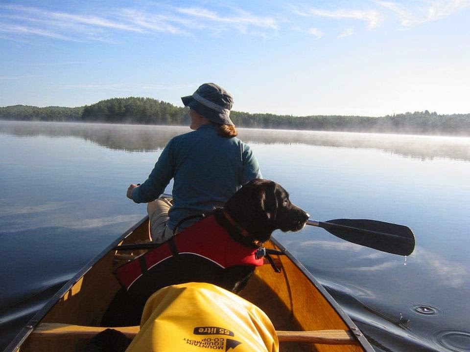 Muskoka Animal Hospital | 96 Hanes Rd #2, Huntsville, ON P1H 2P6, Canada | Phone: (705) 789-7979