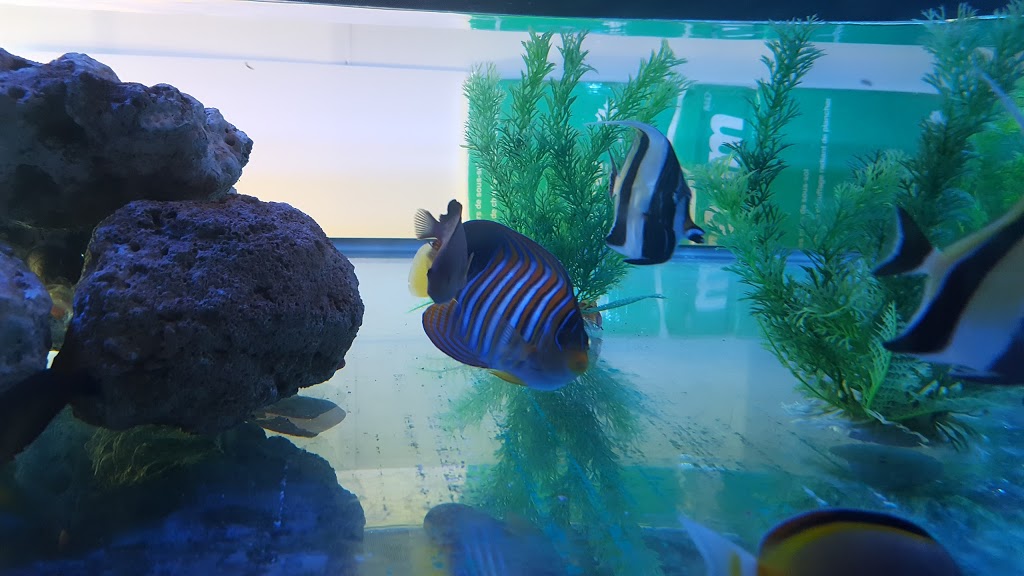 Sealife Central | 3392 Wonderland Rd S Building 9 Unit 11, London, ON N6L 1A6, Canada | Phone: (519) 652-6100