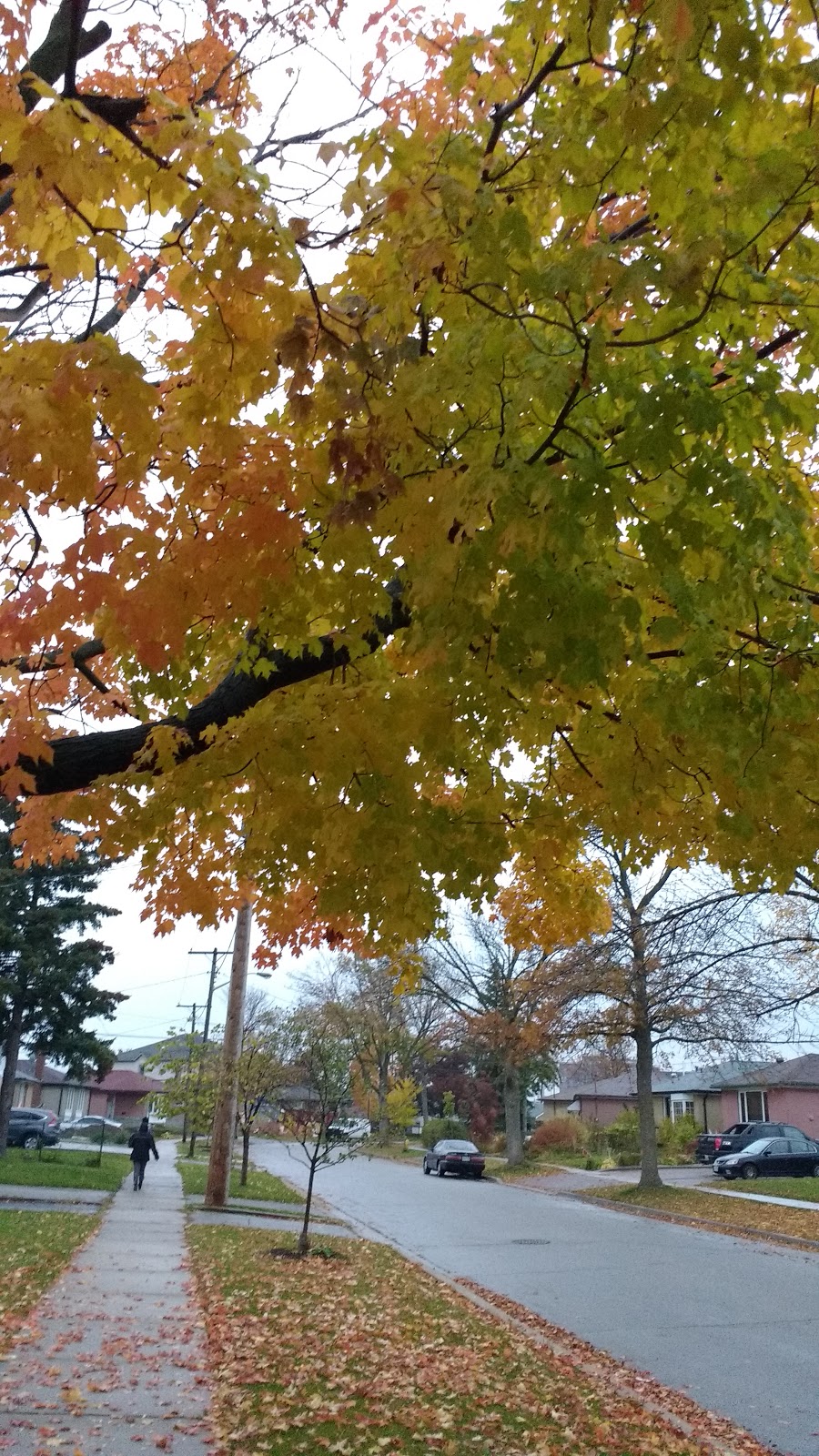 Beaumonde Heights Park | 17 Waltham Dr, Toronto, ON M9V, Canada | Phone: (416) 338-4386