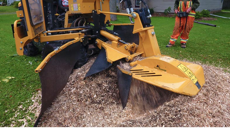 Truly Canadian Tree Service | 12274 Brawn Rd, Wainfleet, ON L0S 1V0, Canada | Phone: (905) 734-5703
